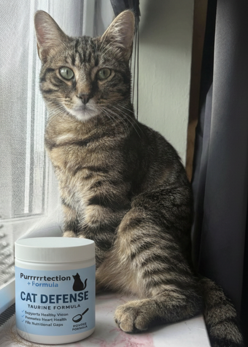 Sarah Johnson review photo