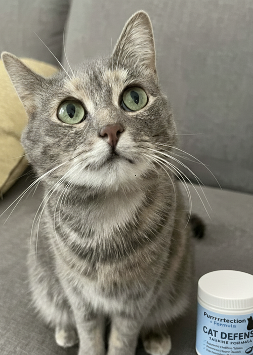 Michael Chen review photo